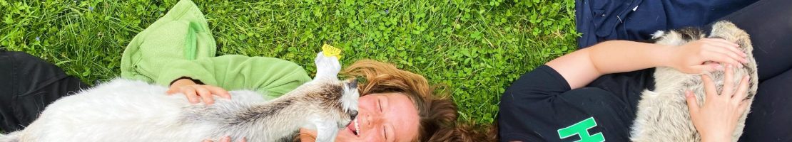 Personal och killingar Personal och killingar