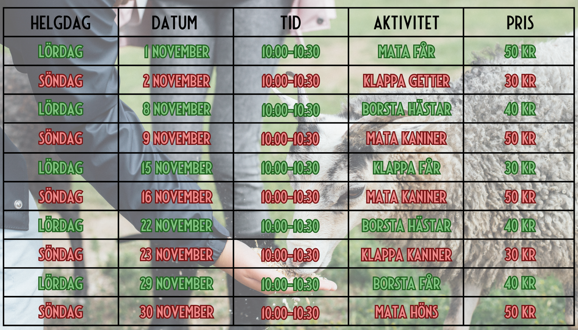 Helgaktiviteter - november