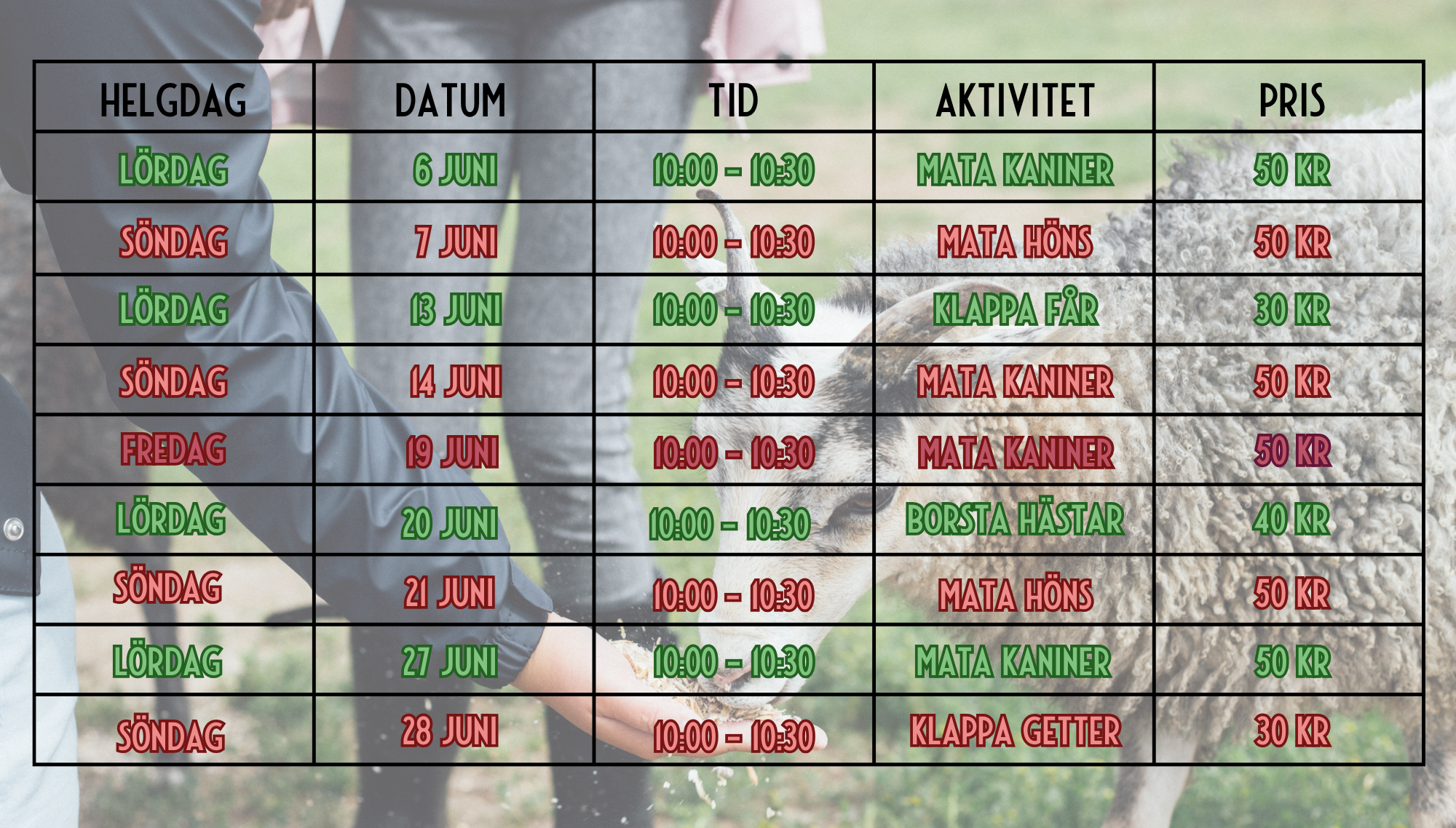 Helgaktiviteter - juni