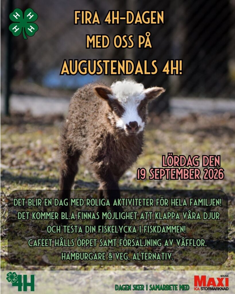 Missa inte höstens 4H dag hos oss!