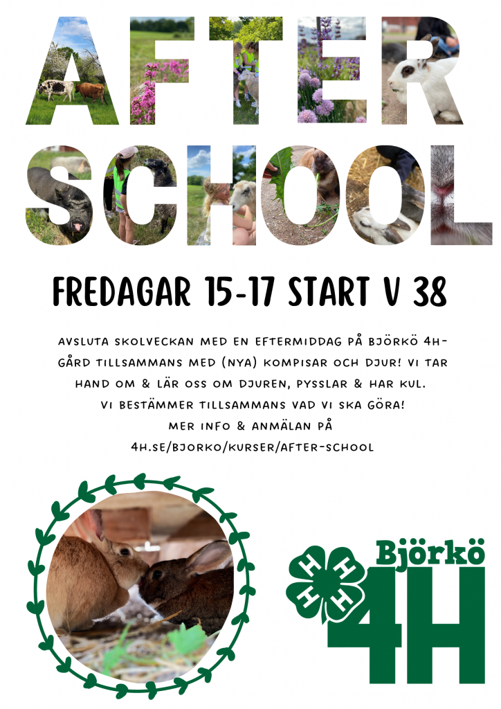 After school Björkö 4H