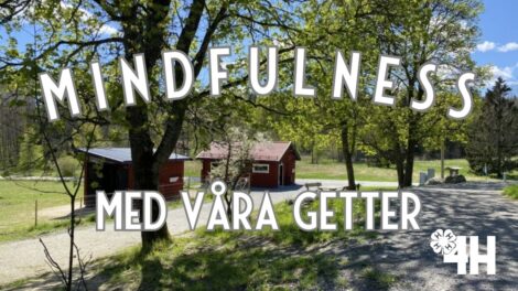 Mindfulness och Yoga (Facebook-omslagsbild) (2)
