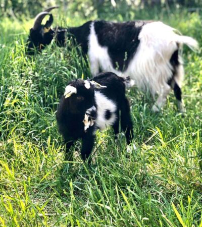 117764409_3375375259168707_2339517519020278148_n