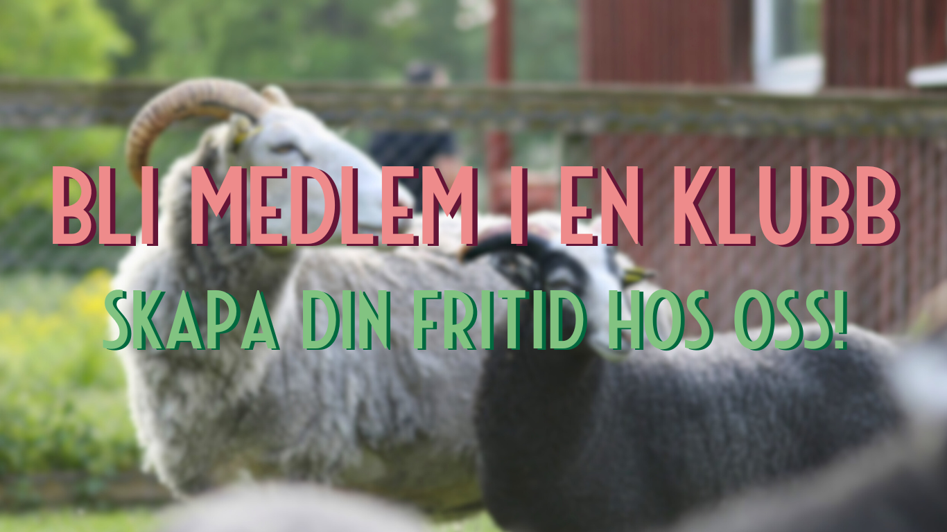 slidebg1