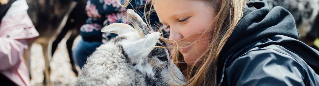 Läger_Stättared_Halland_Alma_Bengtsson_MG_6502_web