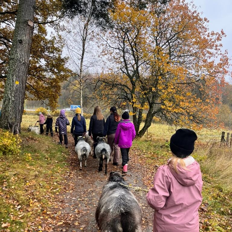 WhatsApp Bild 2025-09-05 kl. 09.55.32_8921270a