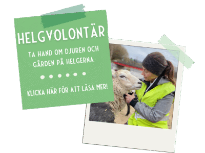 Helgskötare startsida Helgskötare startsida