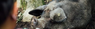 Läger_Stättared_Halland_Alma_Bengtsson_MG_6342_web