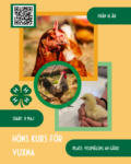 HÖNS KURS (Instagram-inlägg (45))