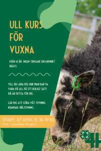 ullkurs barn och vuxna 2 st (Instagram-inlägg (45)) ullkurs barn och vuxna 2 st (Instagram-inlägg (45))