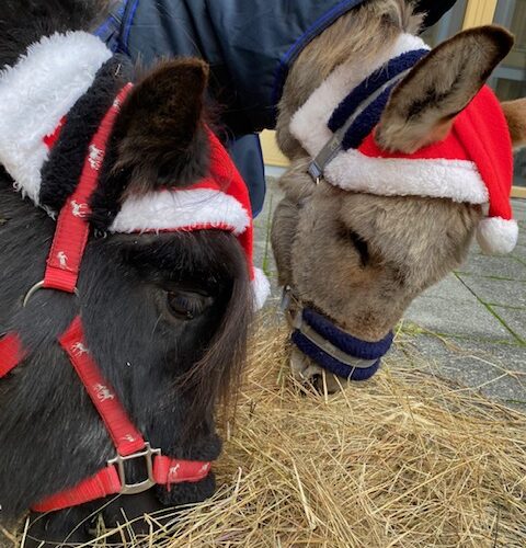 206F3ECD-3041-4D59-90DA-0E8B279BFE4D