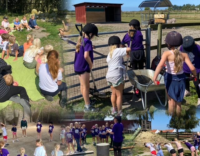 created by InCollage