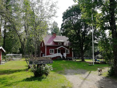 Björkmuren