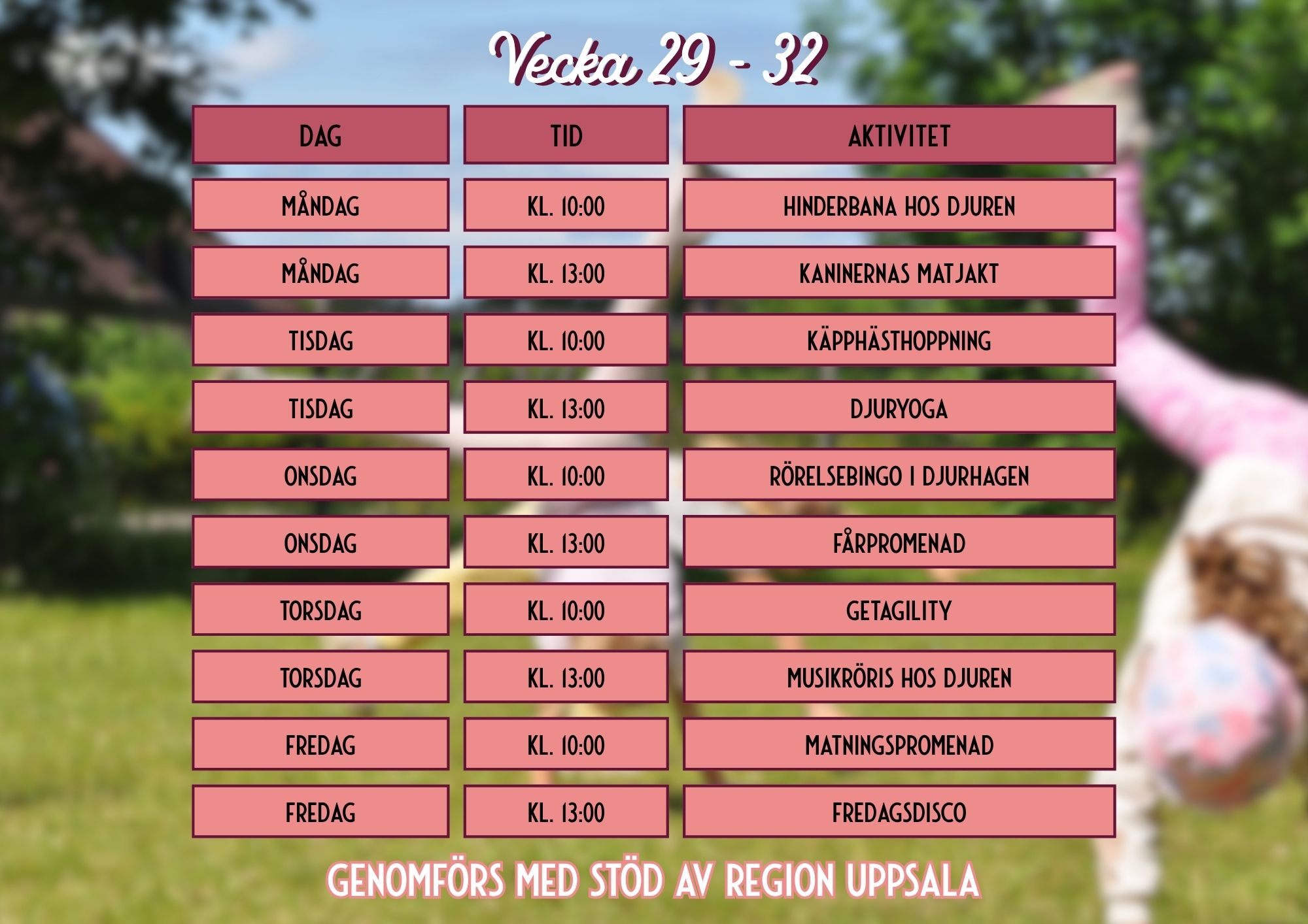 Full fart 4H - hemsida