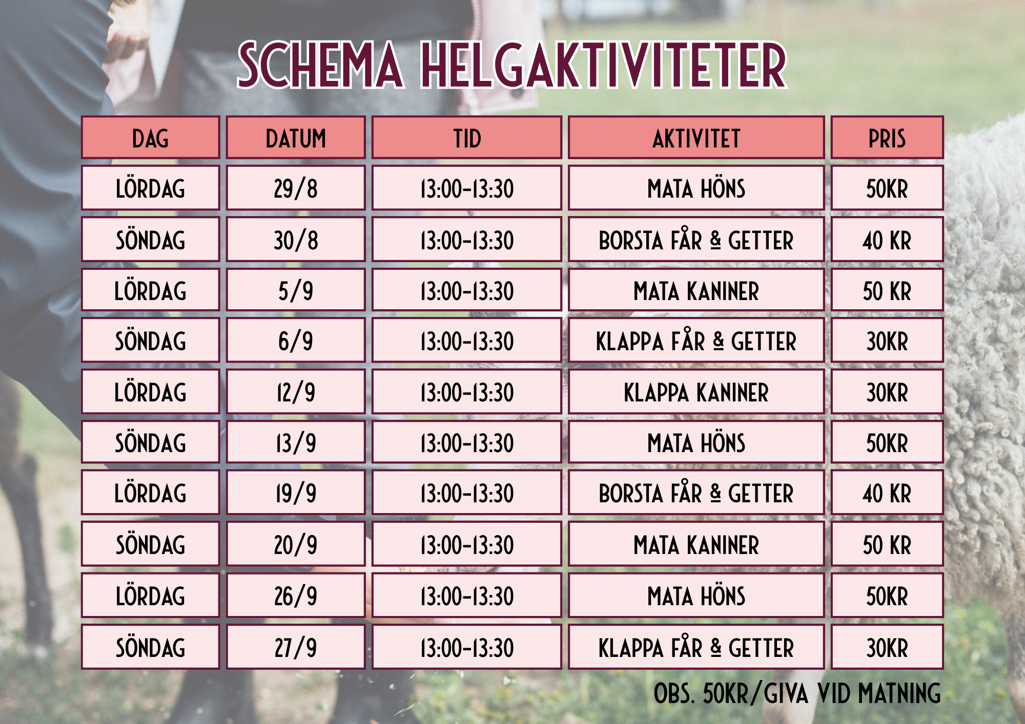 Helgaktiviteter Sävja