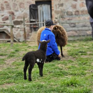 401c4ae3-4c7c-4560-8a8f-32f3b93afe07