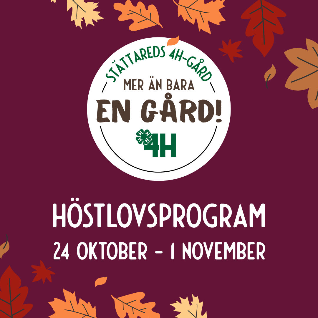 Kopia av Omslag_Hemsida