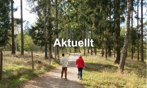 Sommarläger (3) Sommarläger (3)