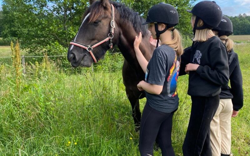 271912200_255798720040040_4925966358739039126_n