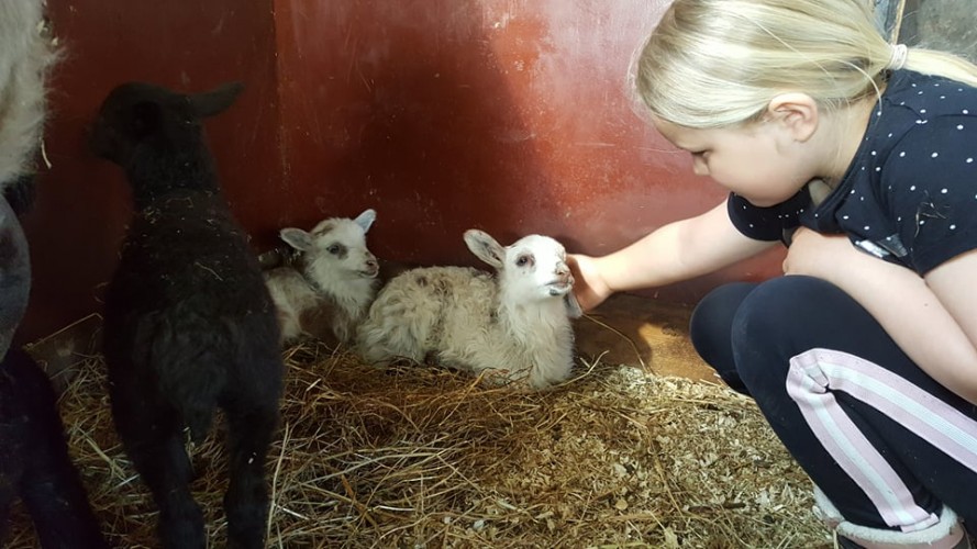 273529423_3070169926564630_6257446646783541296_n