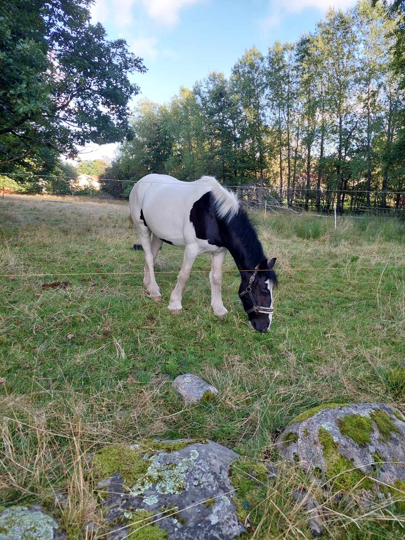 466982811_930969825106900_8607713500627280989_n