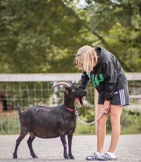 Ungdom och get Ungdom och get