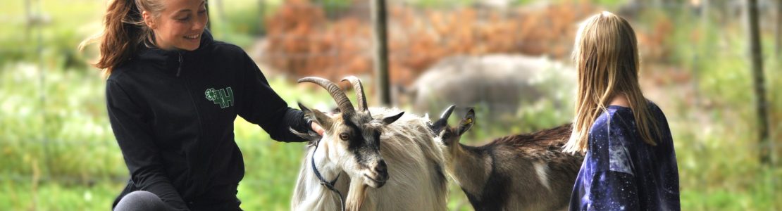 Personal, barn och get Personal, barn och get