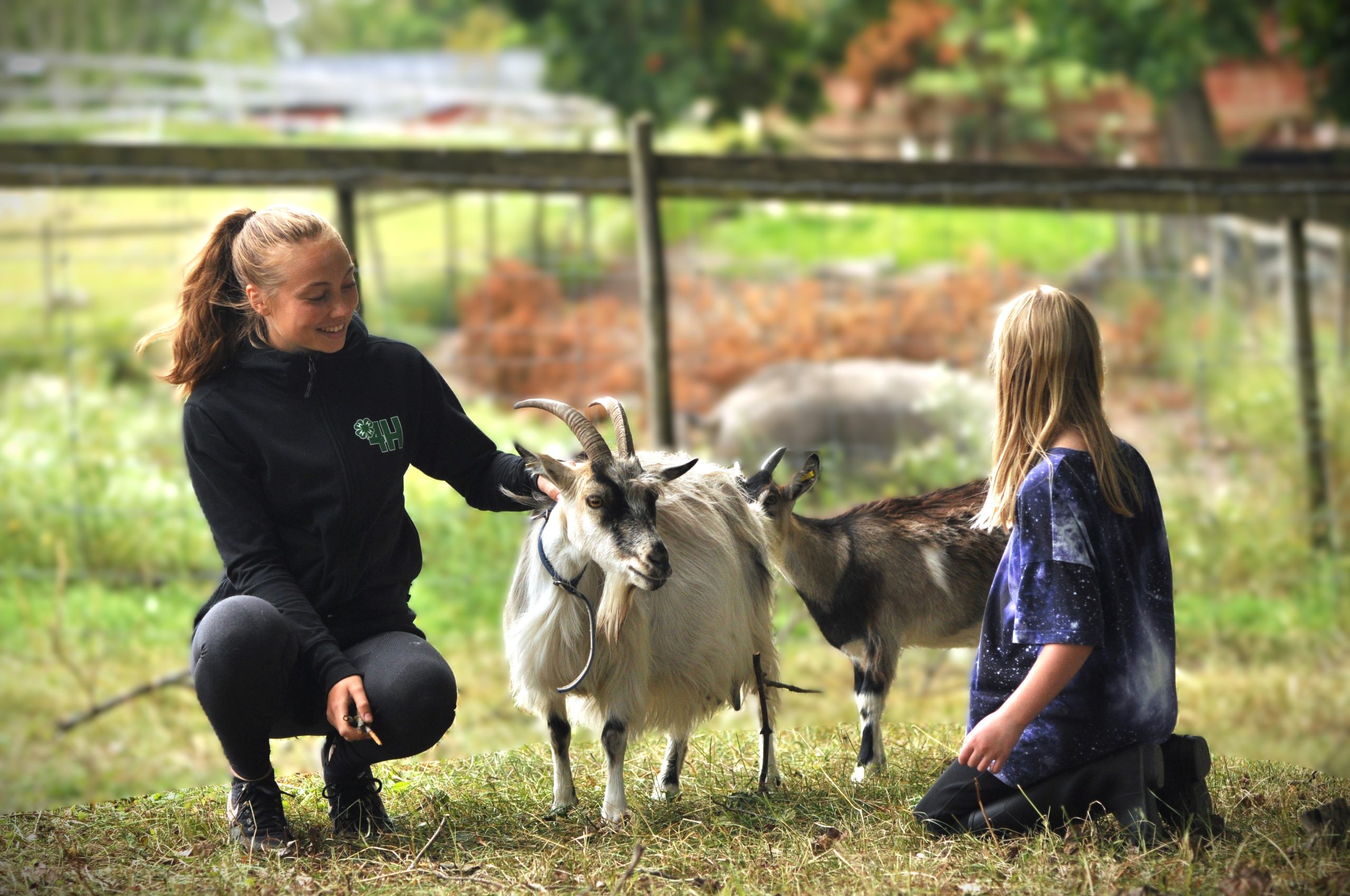 Personal, barn och get