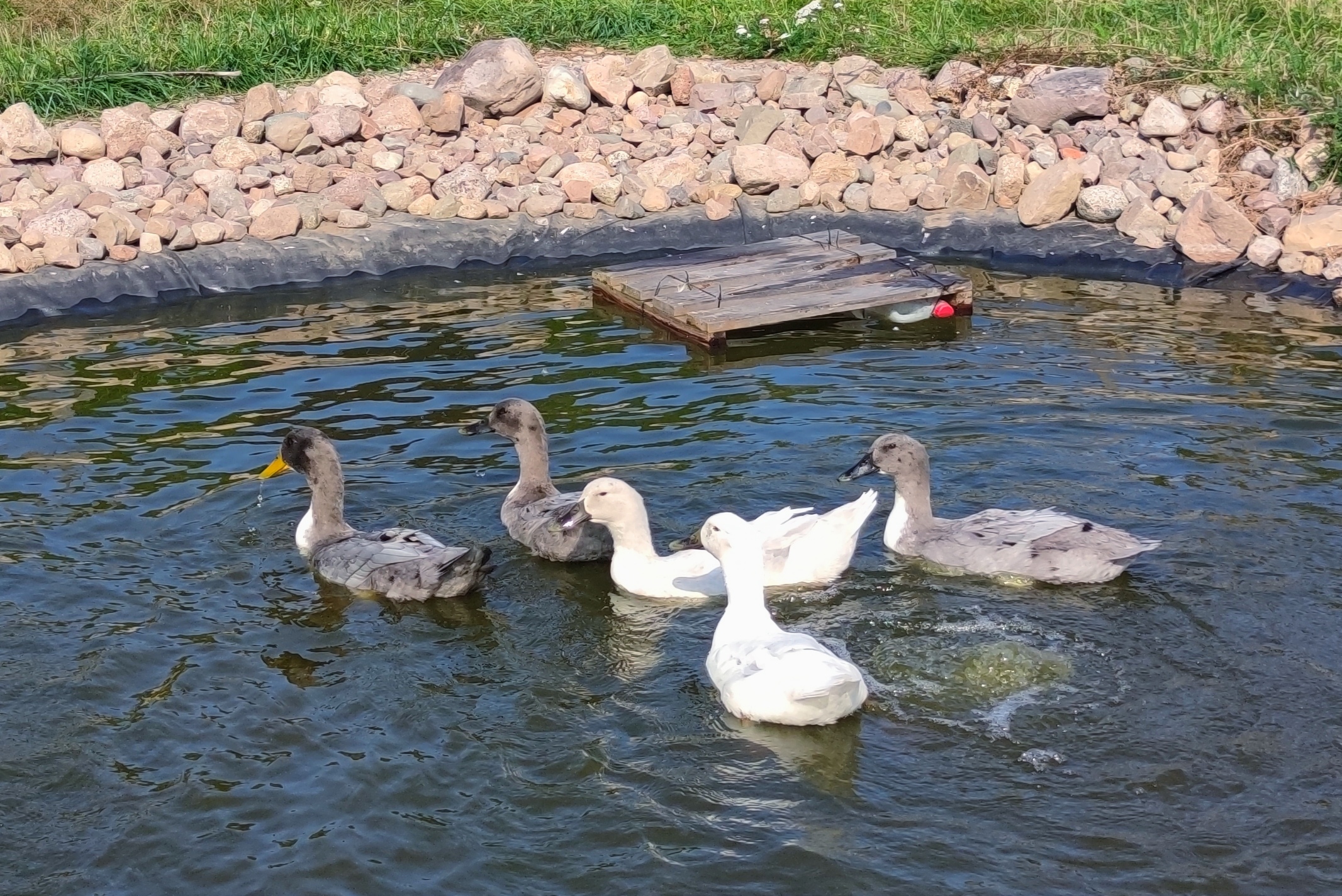 IMG_20220817_161958 IMG_20220817_161958