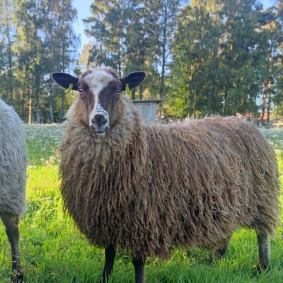 IMG_20230905_175731 IMG_20230905_175731