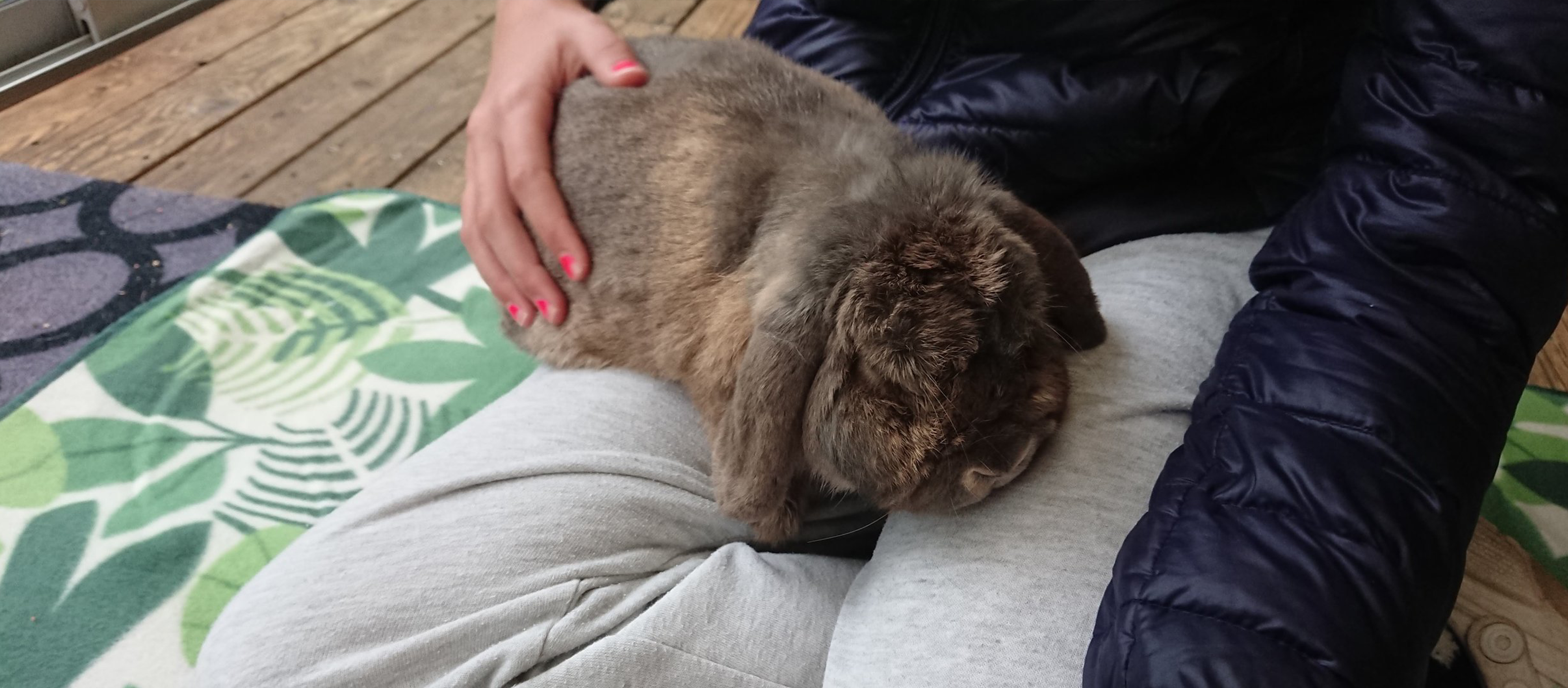 slidebg1