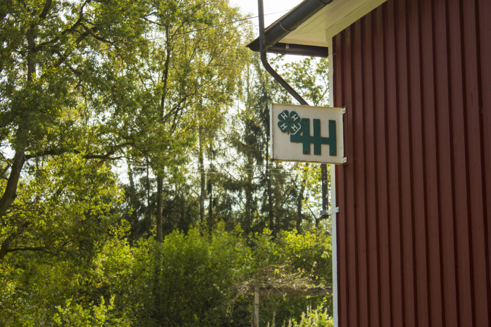 Ästad_2014_Hampus_Brink_10