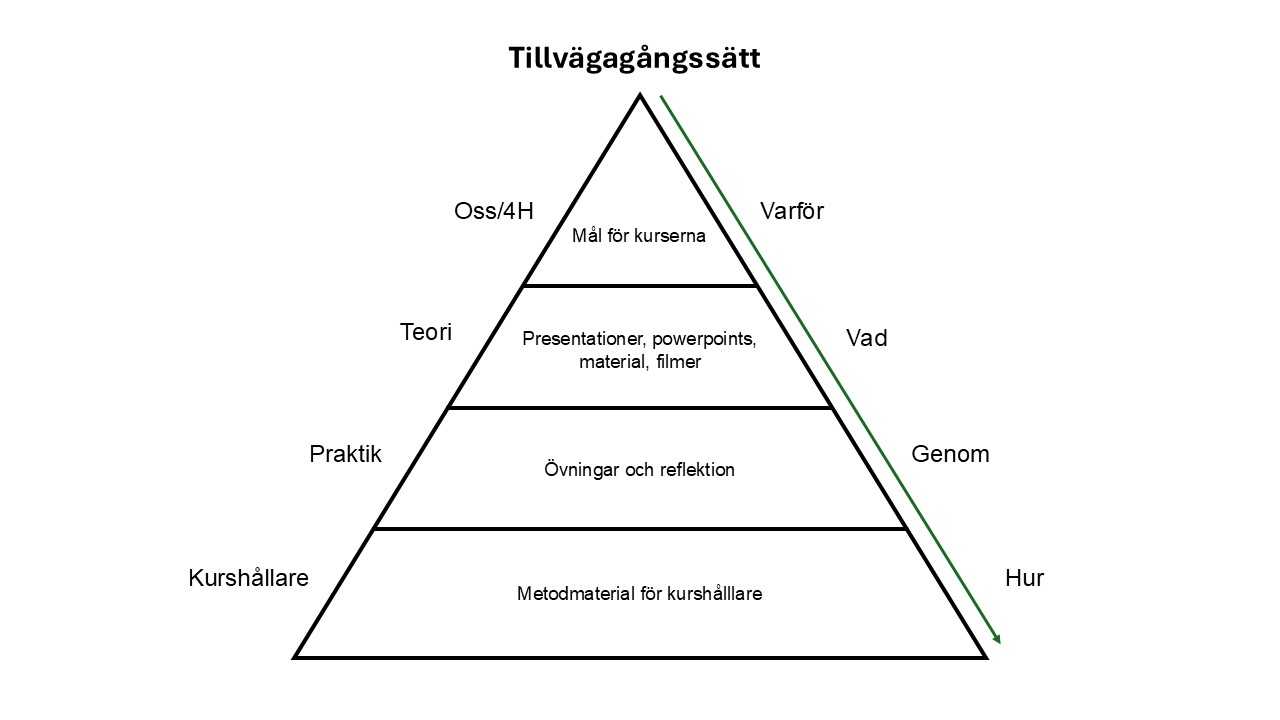 Bild1