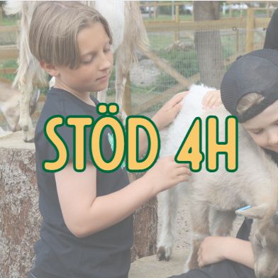 Skärmbild 2026-06-09 123957
